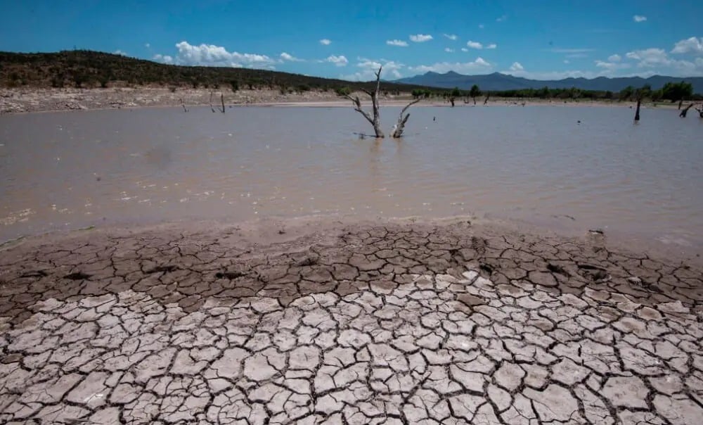 El fenómeno de El Niño ingresará a su fase más intensa hasta enero con fuerte impacto en el clima y la agricultura Foto: La Razón
