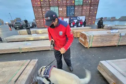 La justicia chilena fijó para el 29 de octubre una nueva audiencia en el caso de la madera boliviana Foto: La Razón